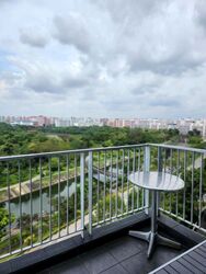 Park Green (D19), Condominium #628401911